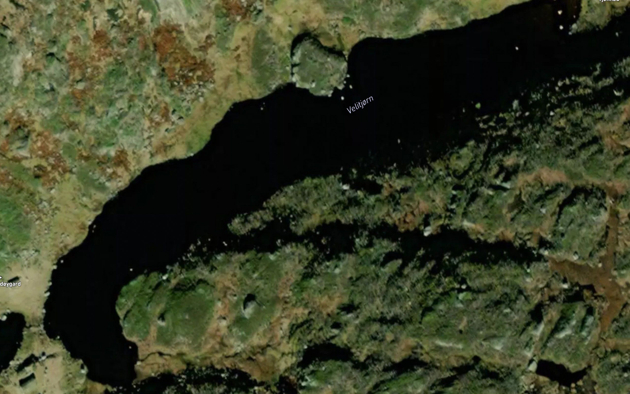 Velitjorn