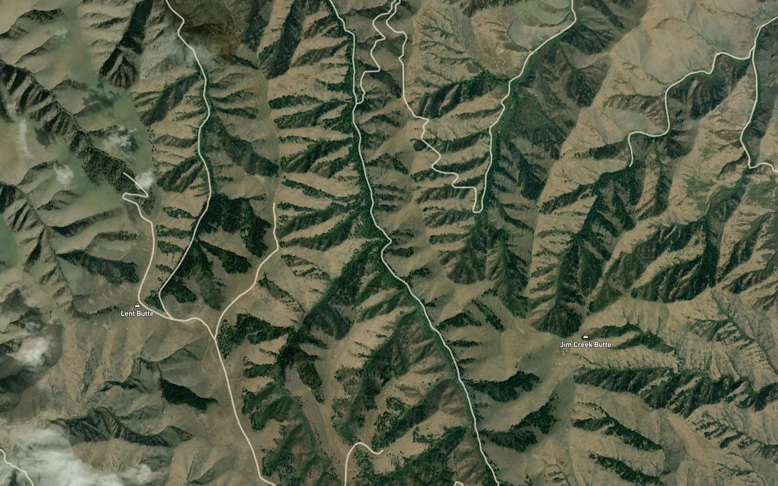 Cold Spring Creek