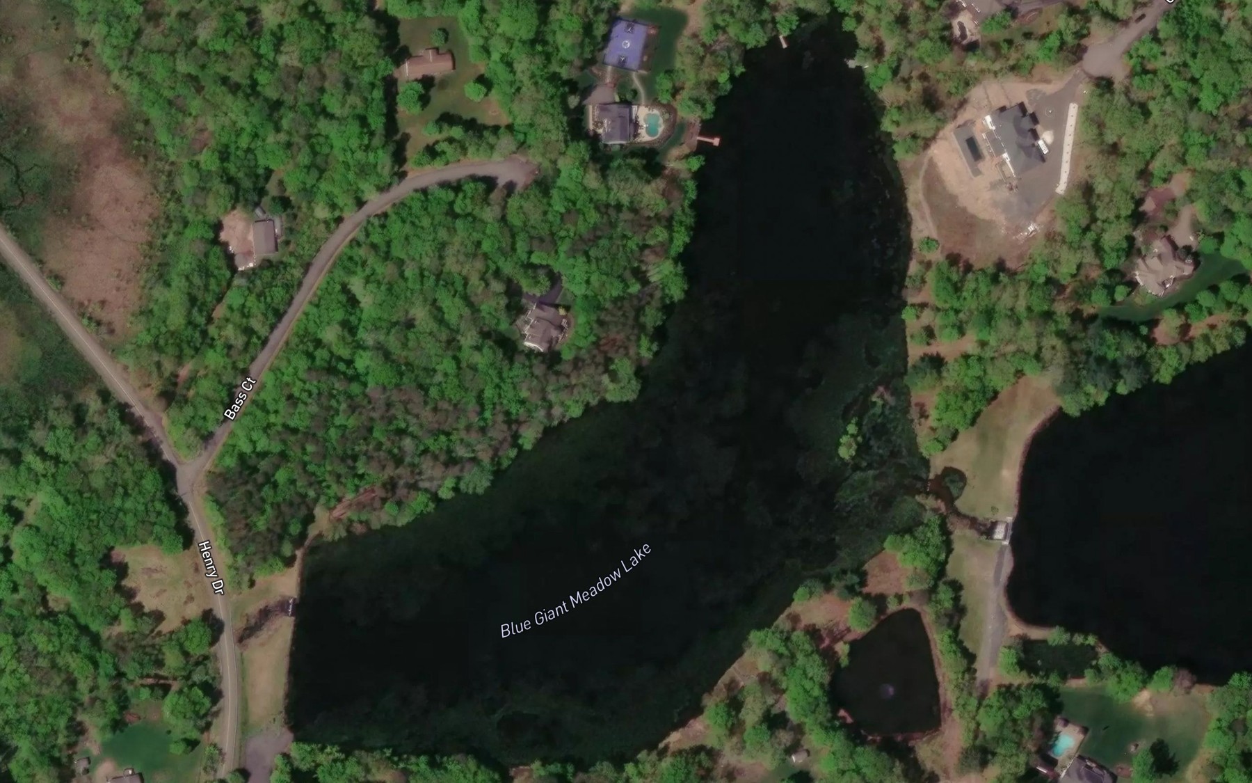 Satellite map of the Blue Giant Meadow Lake