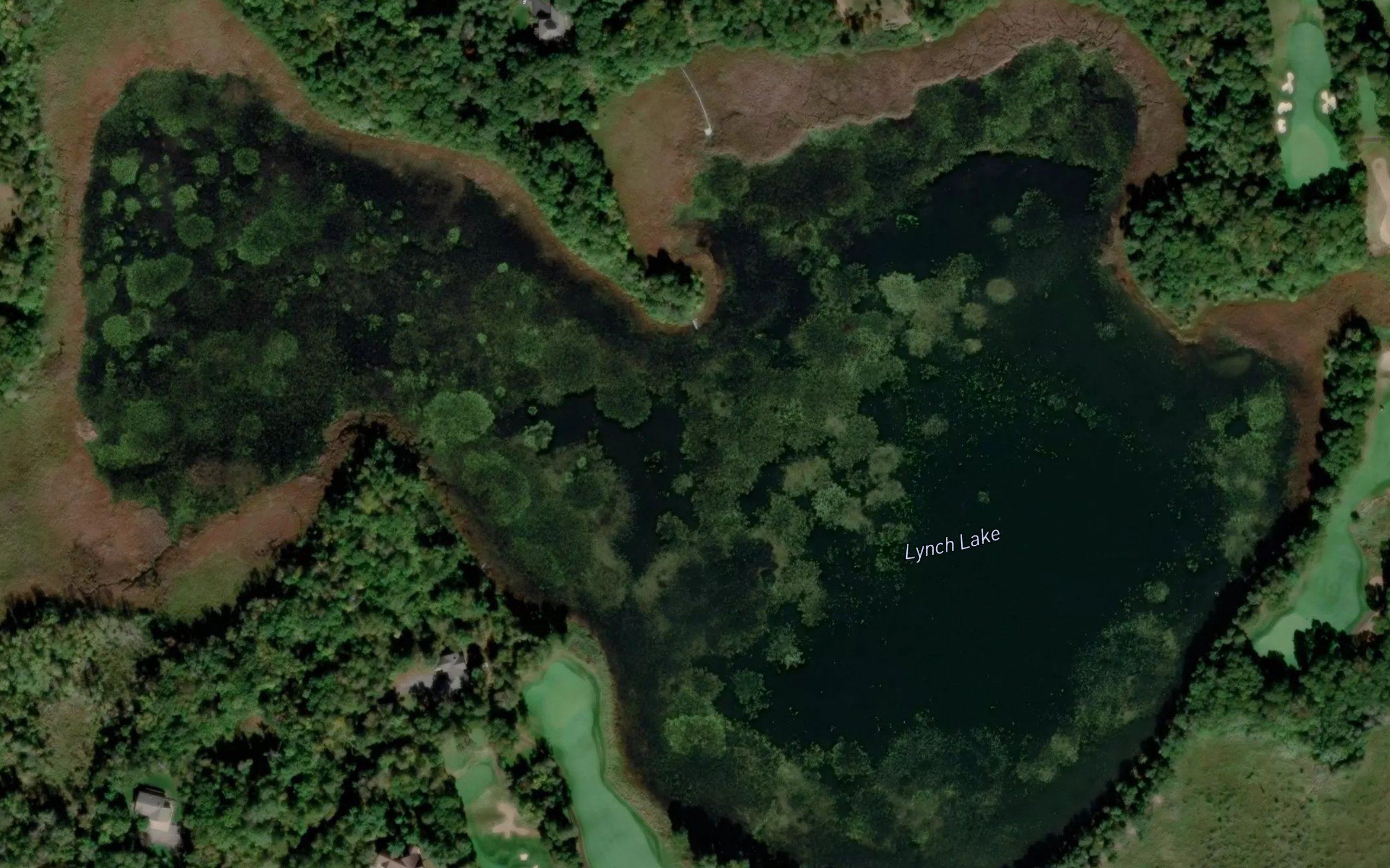 Lynch Lake