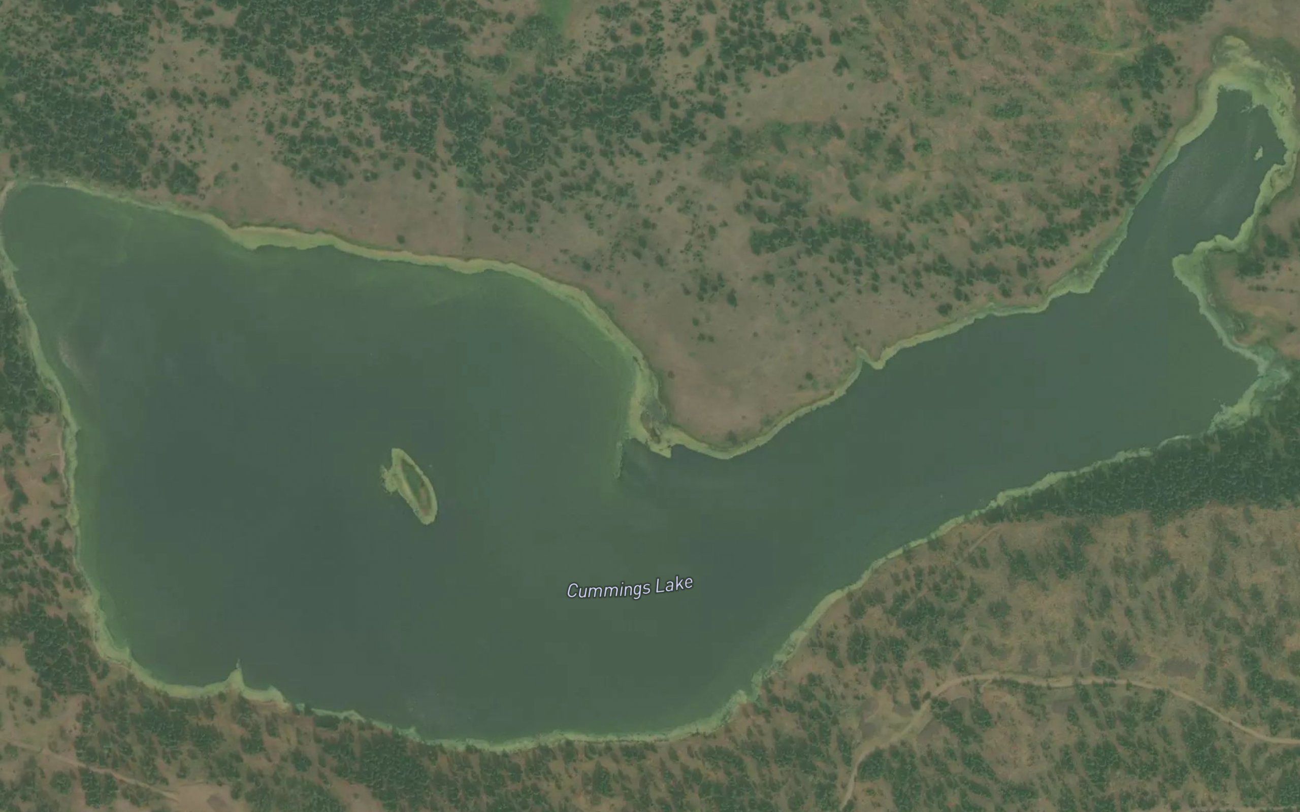 Cummings Lake