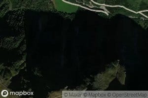 Svagrovi