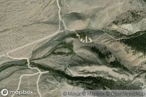 Birch Springs