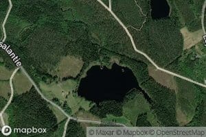 Puolivalinjoki