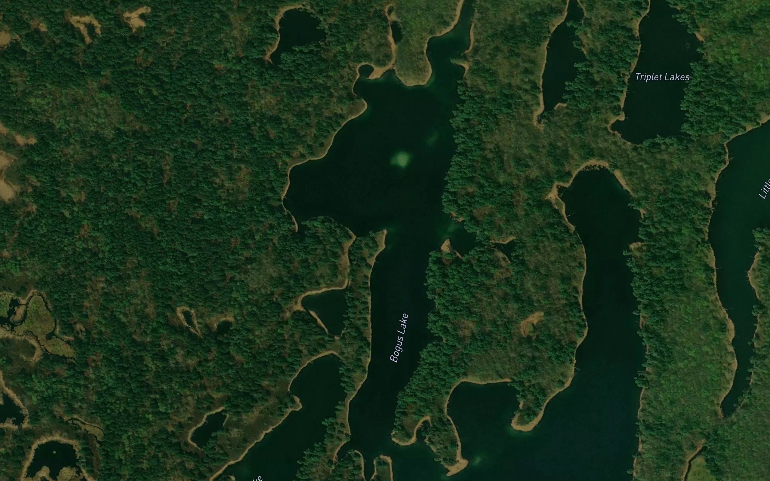 Bogus Lake