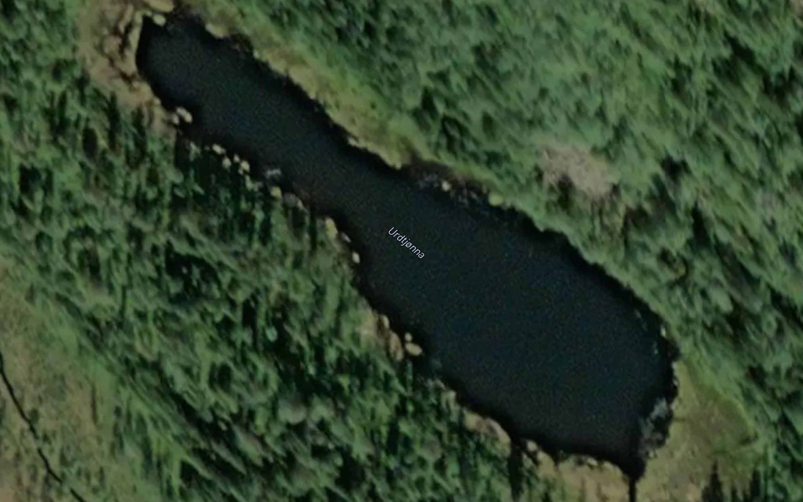 Urdtjorna