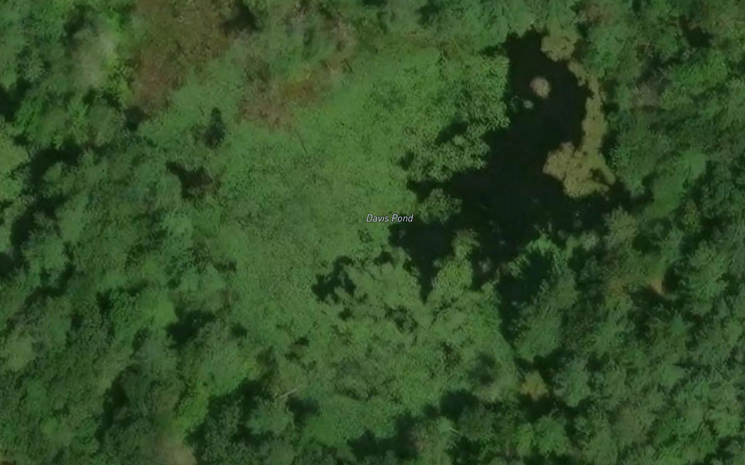 Davis Pond