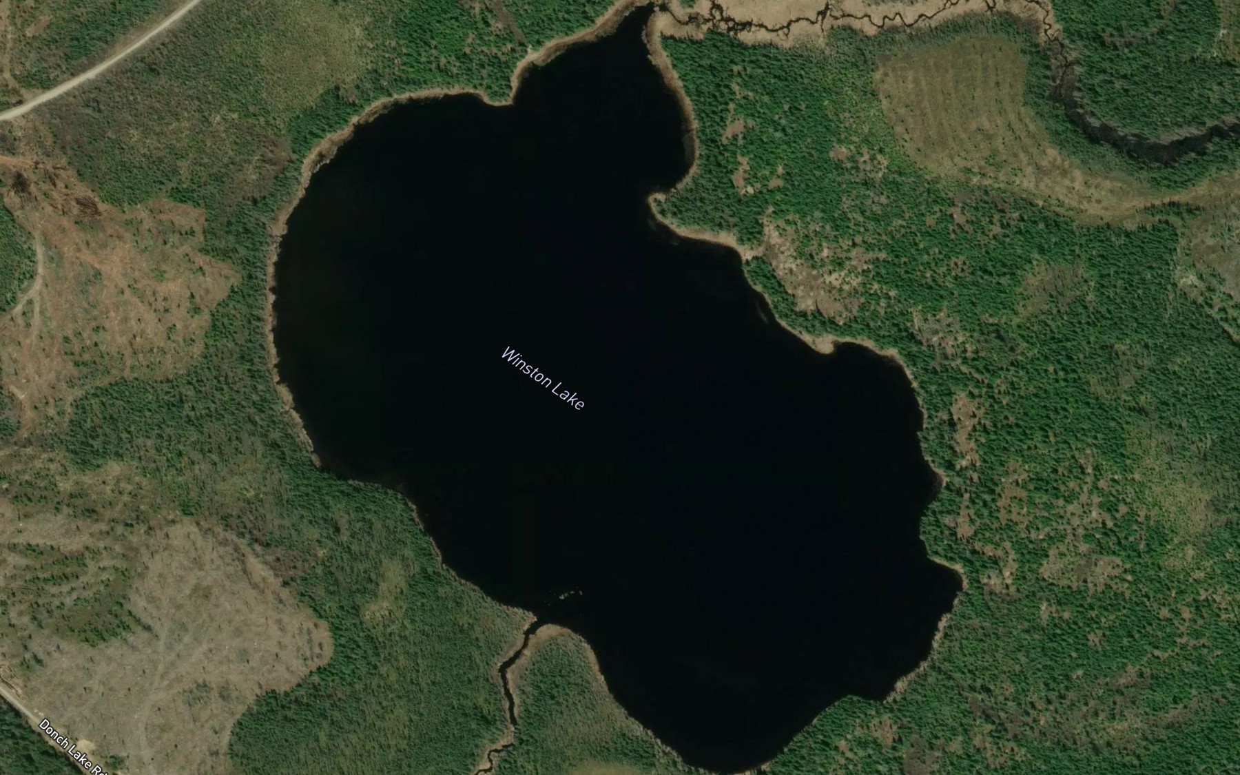 Satellite map of the Winston Lake