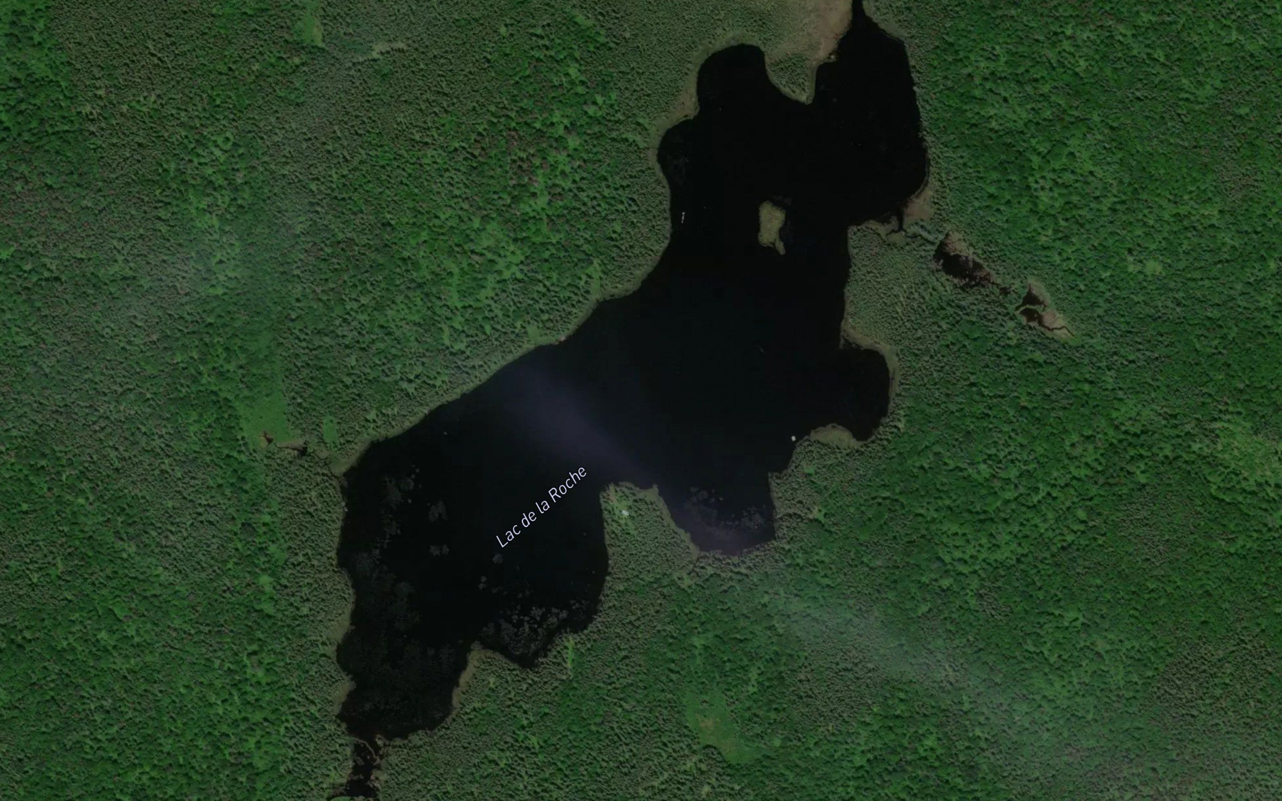 Lac de la Roche