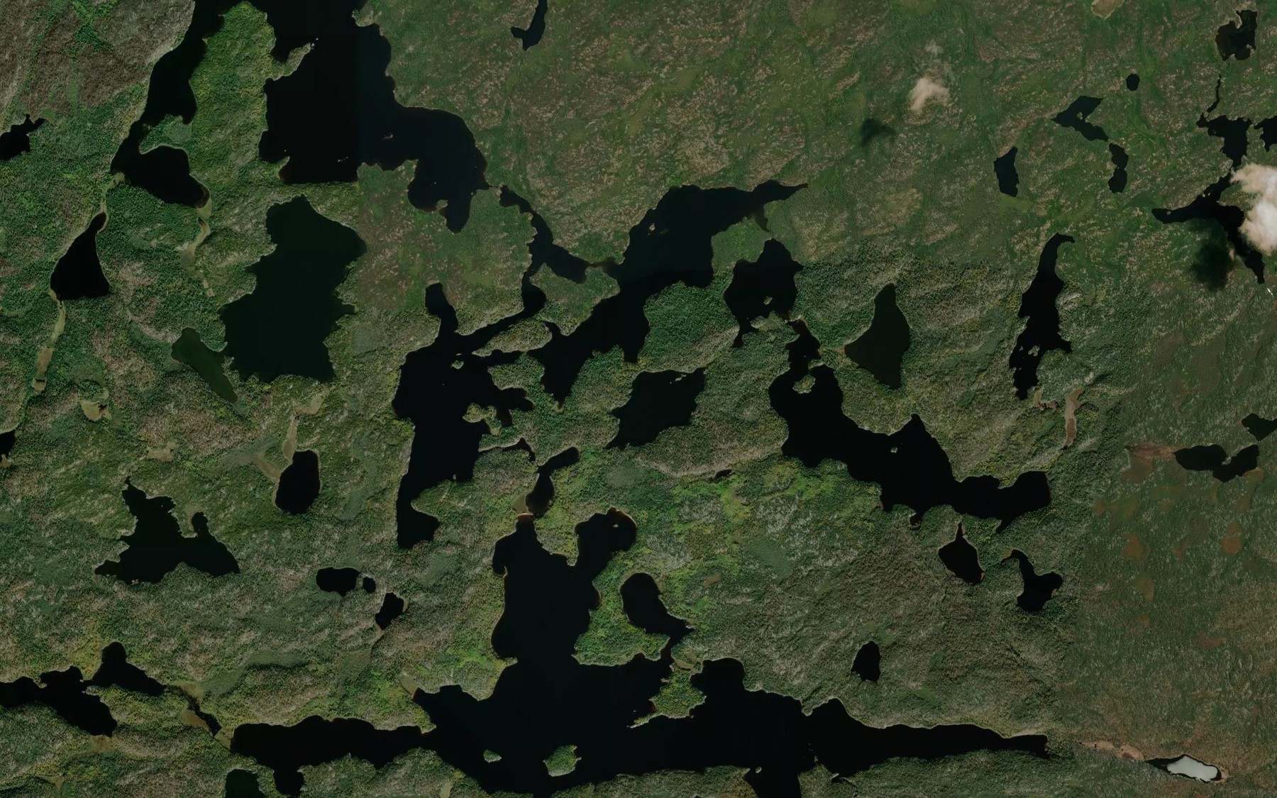Satellite map of the Beamish Creek