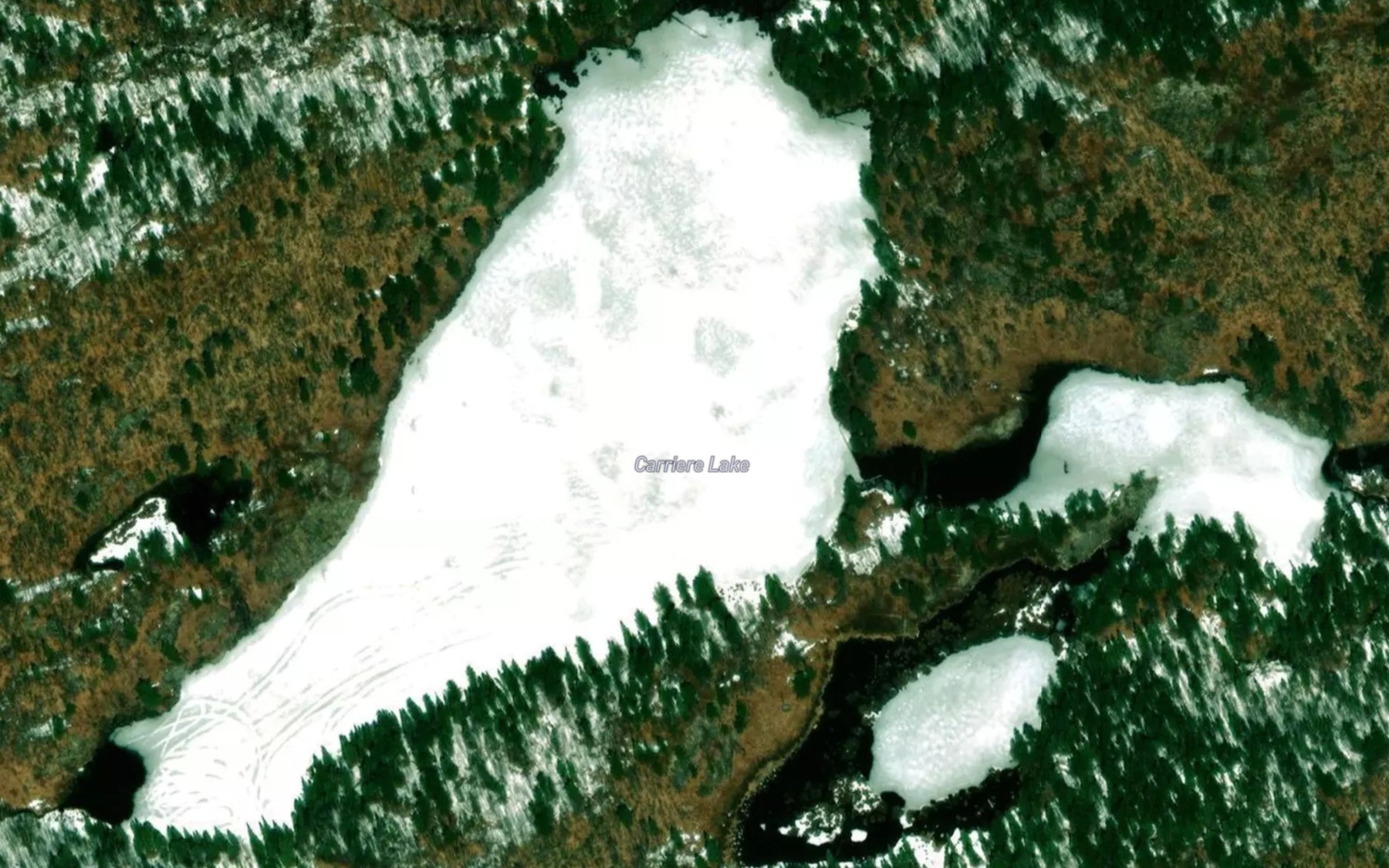 Satellite map of the Carriere Lake