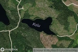 Kolu