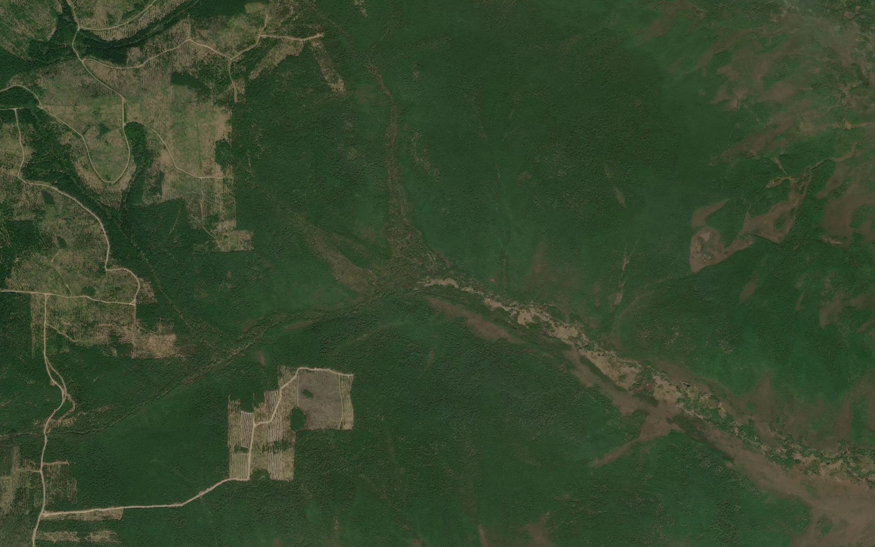 Satellite map of the Lesnoy