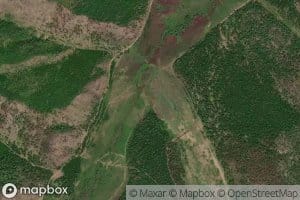 Bol'shaya Krapivikha