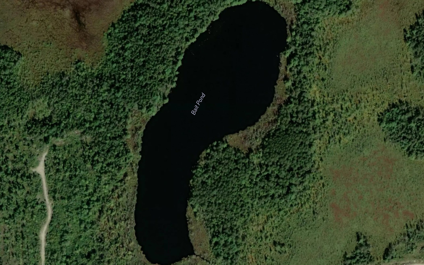 Satellite map of the Bait Pond