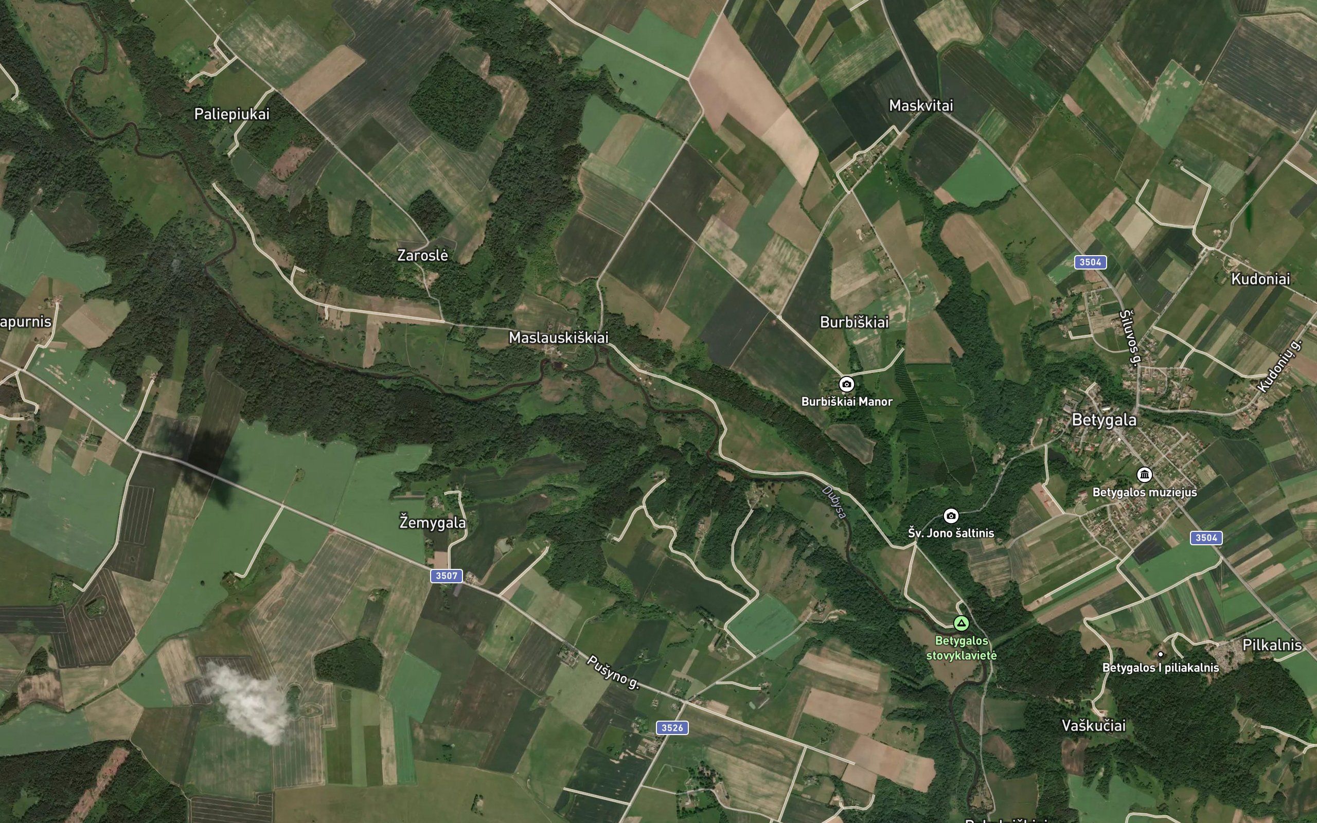 Burgalis