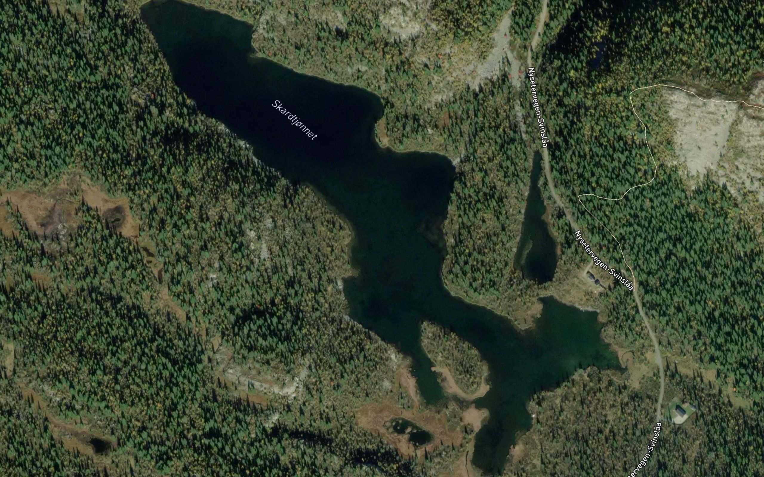 Skardtjornet