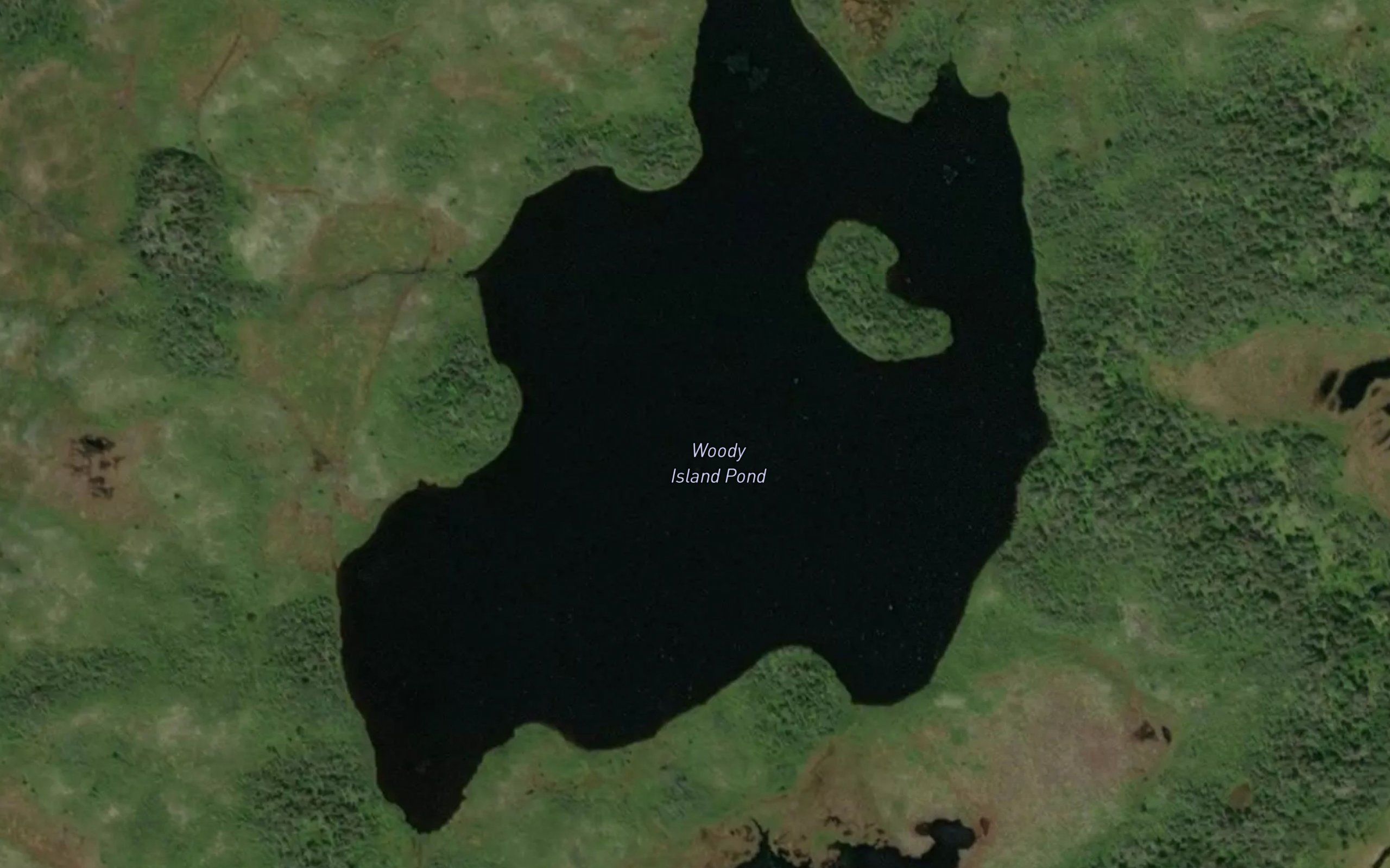 Woody Island Pond
