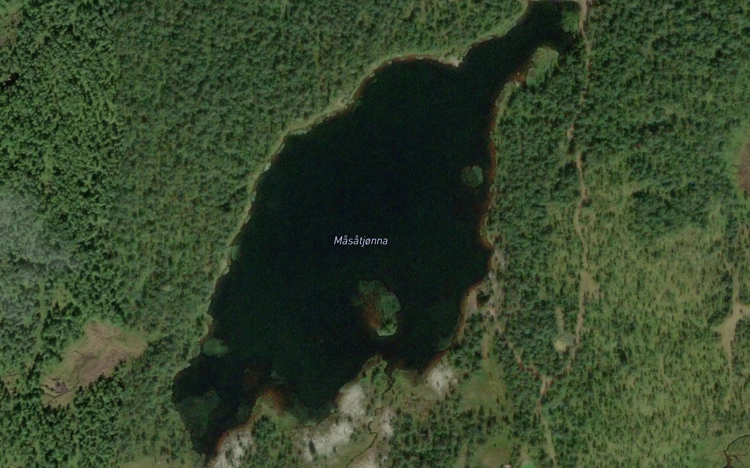 Masatjorna