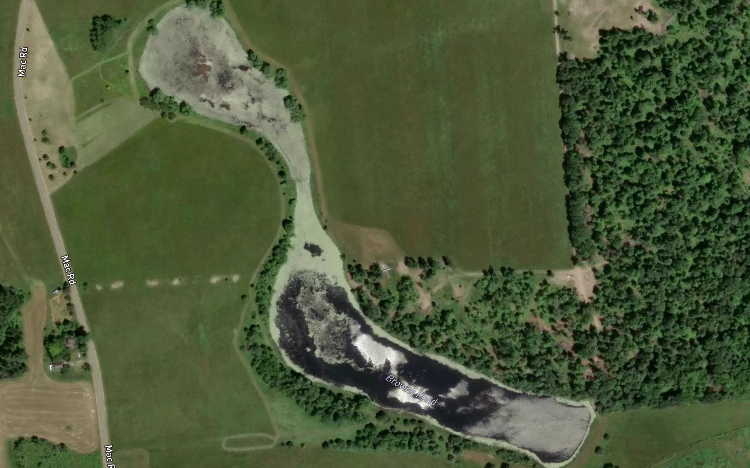 Browns Pond