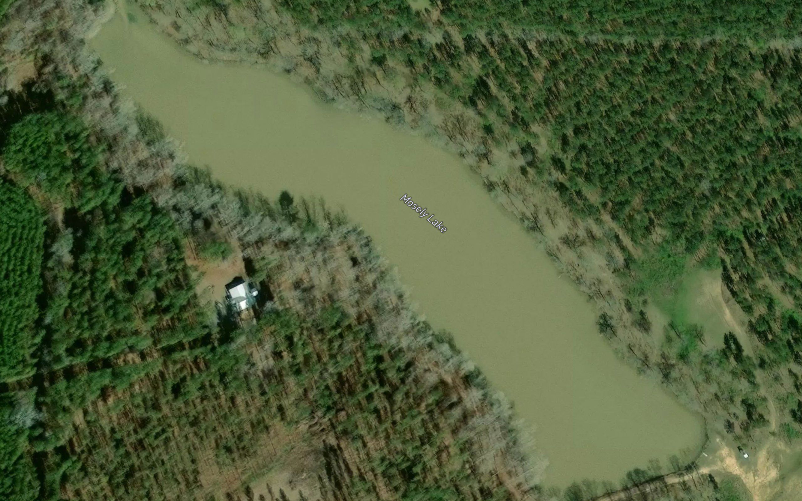 Mosely Lake