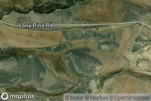 Japanese Davidson Ditch