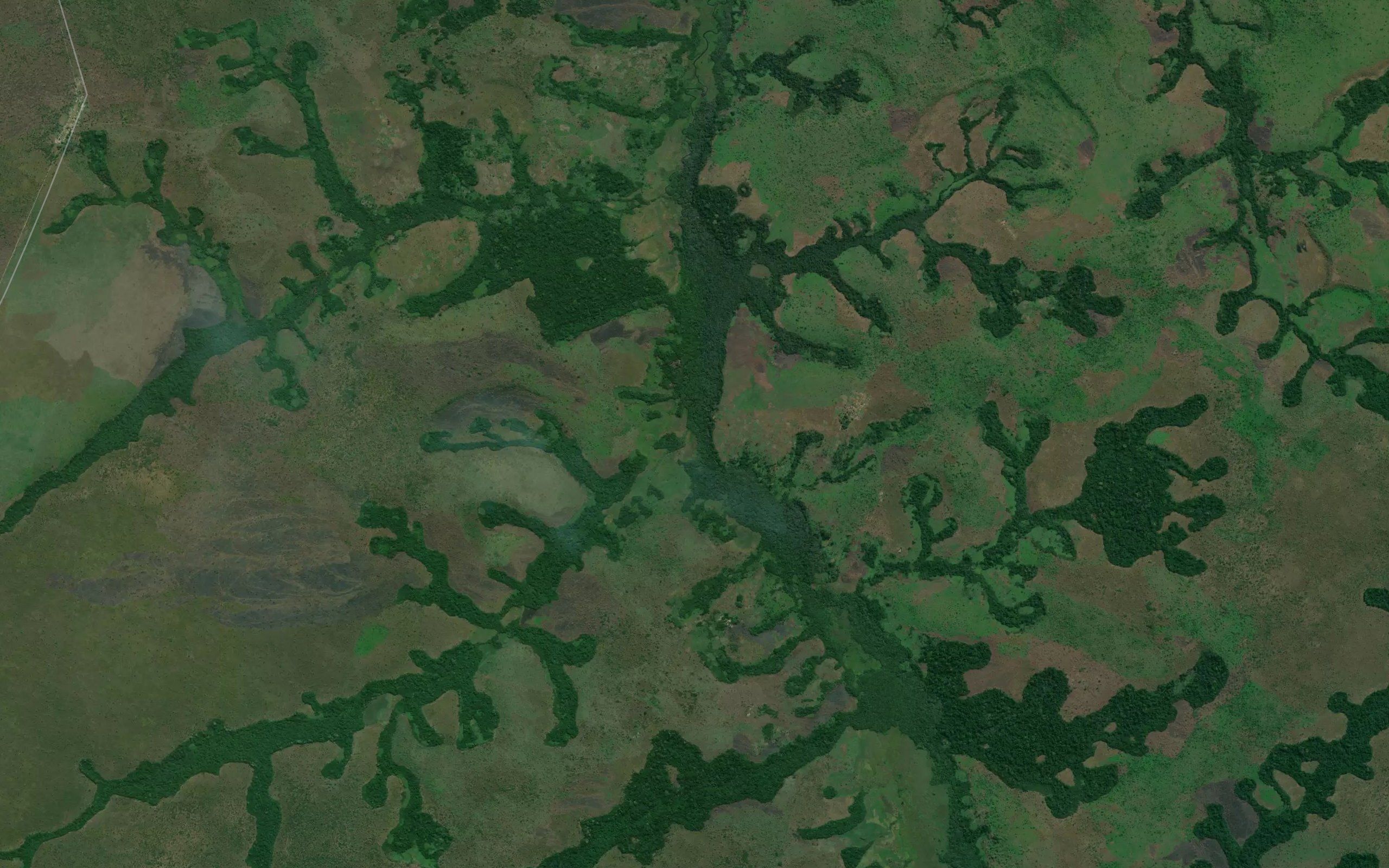 Kafwaya