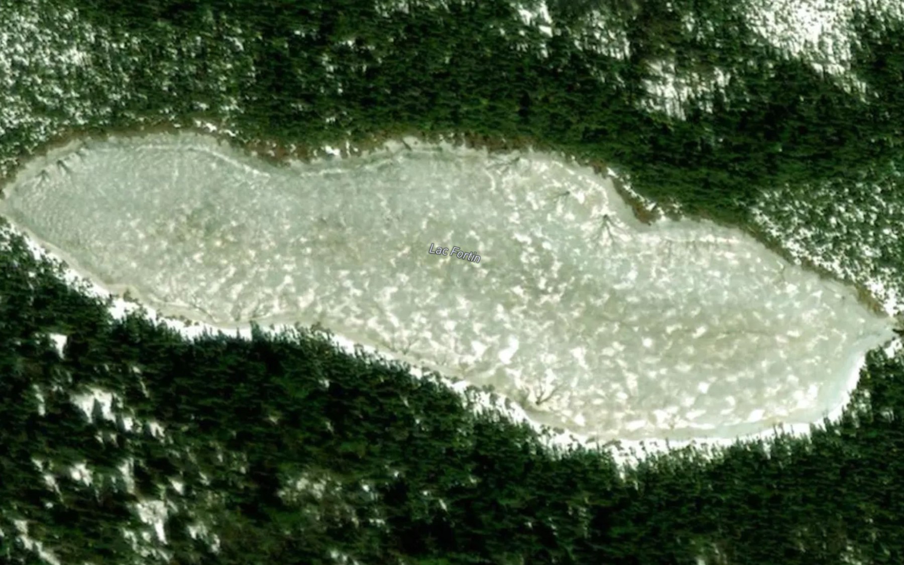 Satellite map of the Lac Fortin