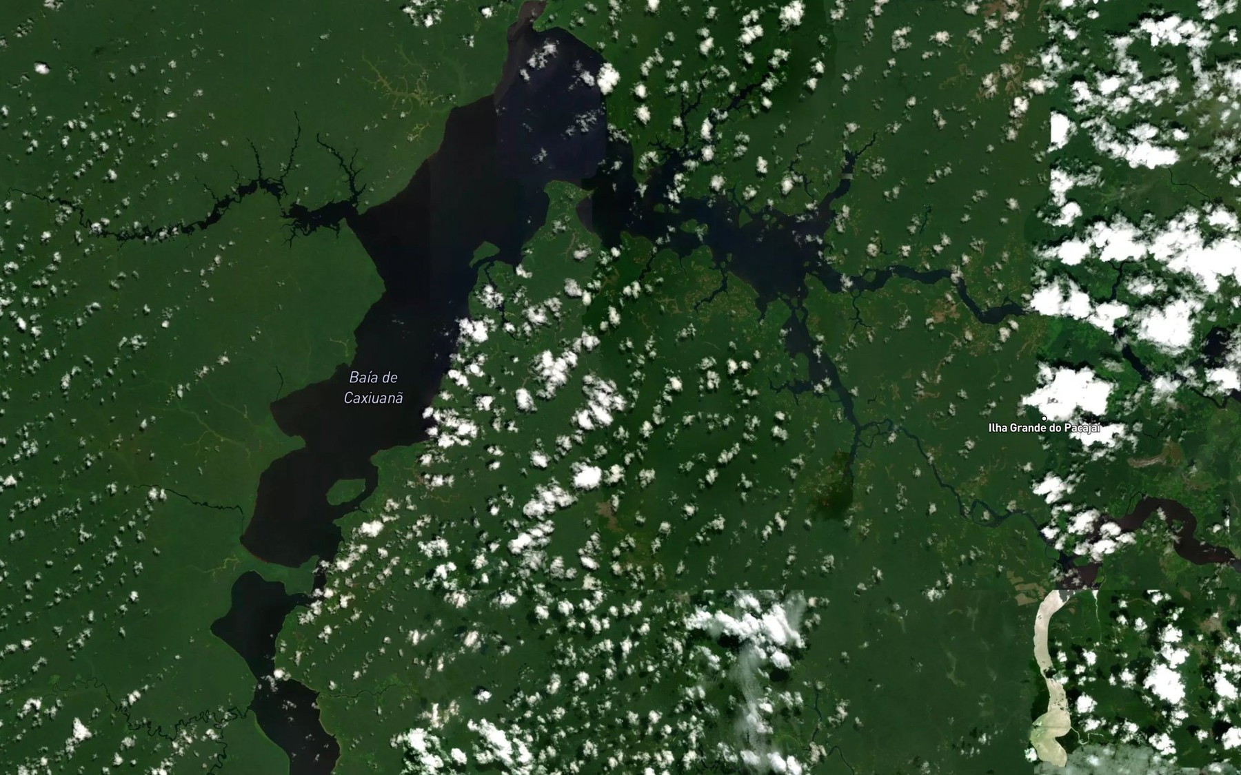 Satellite map of the Baia de Caxiuana