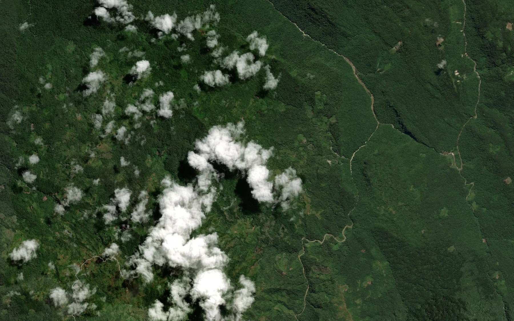 Satellite map of the Ivoru River