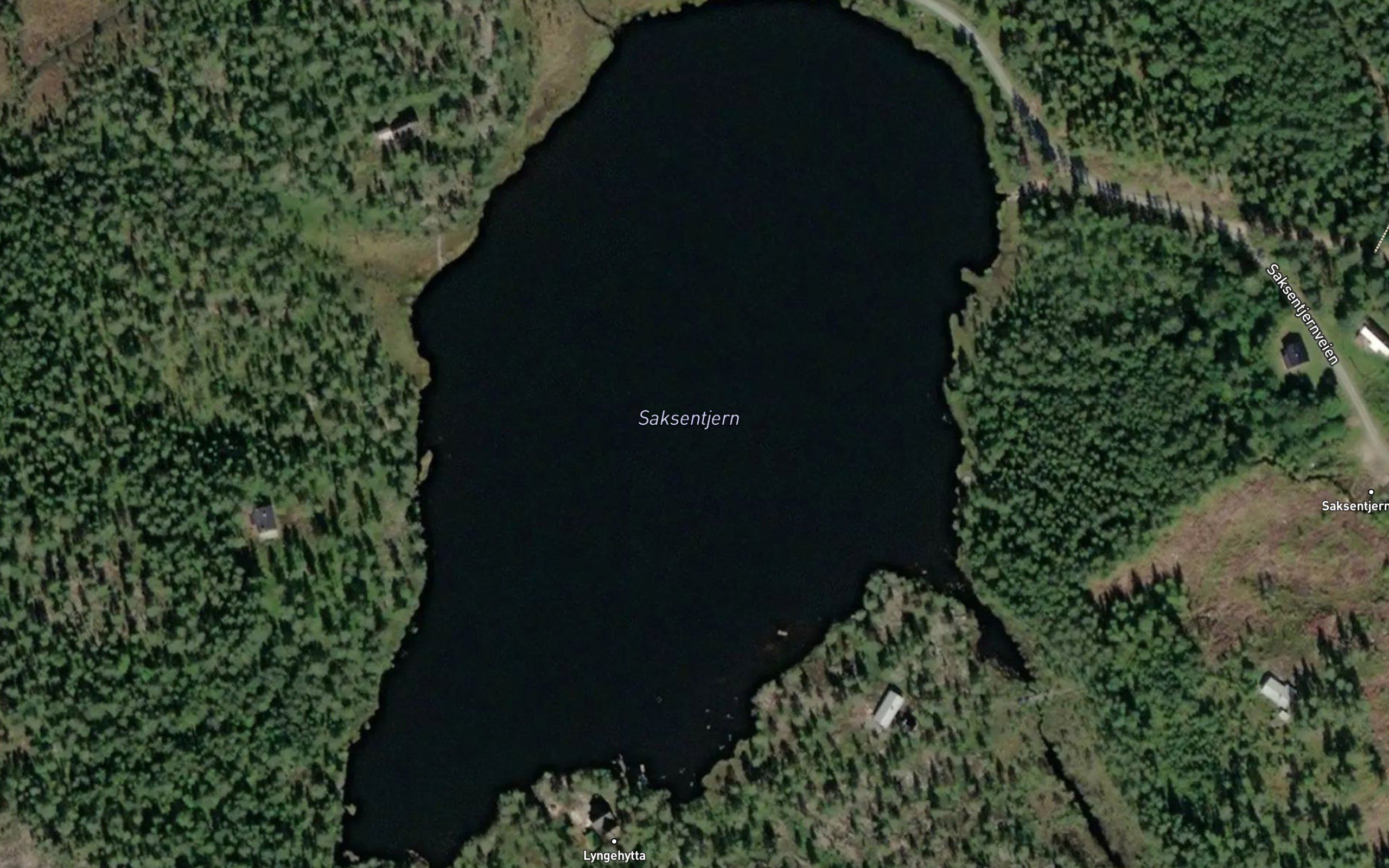 Saksentjernet
