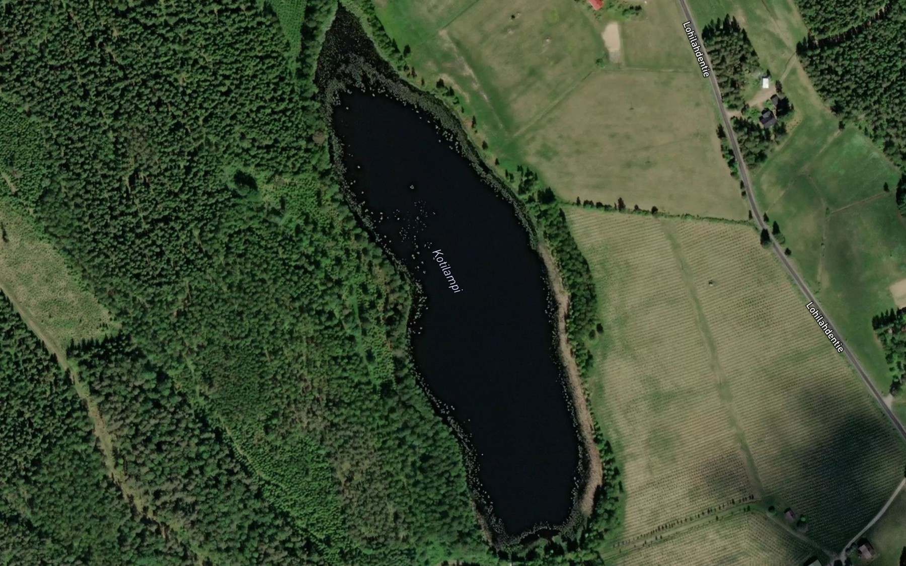 Satellite map of the Kotilampi