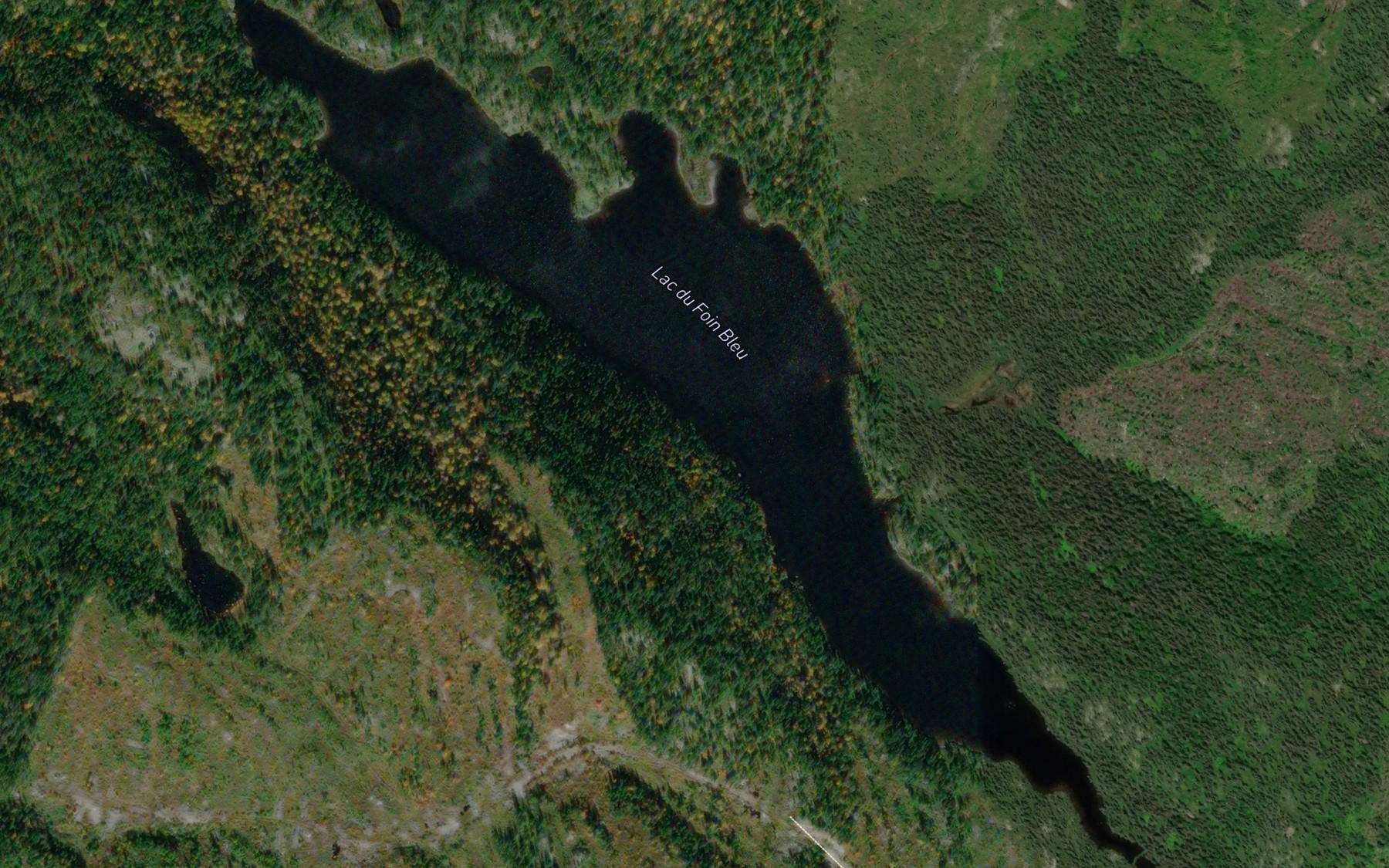 Satellite map of the Lac du Foin Bleu