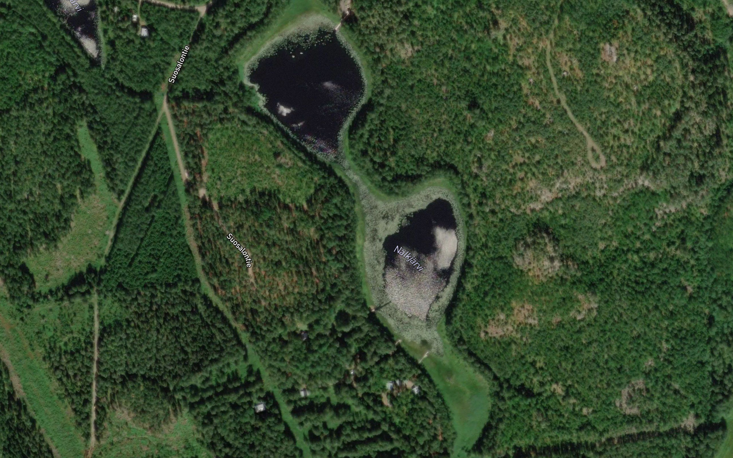 Nalkjarvi