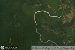 Bearwallow Spring