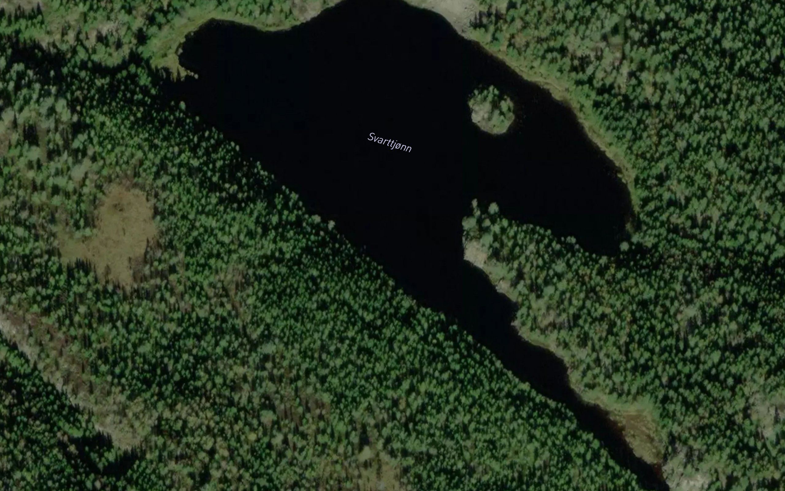 Svarttjorn