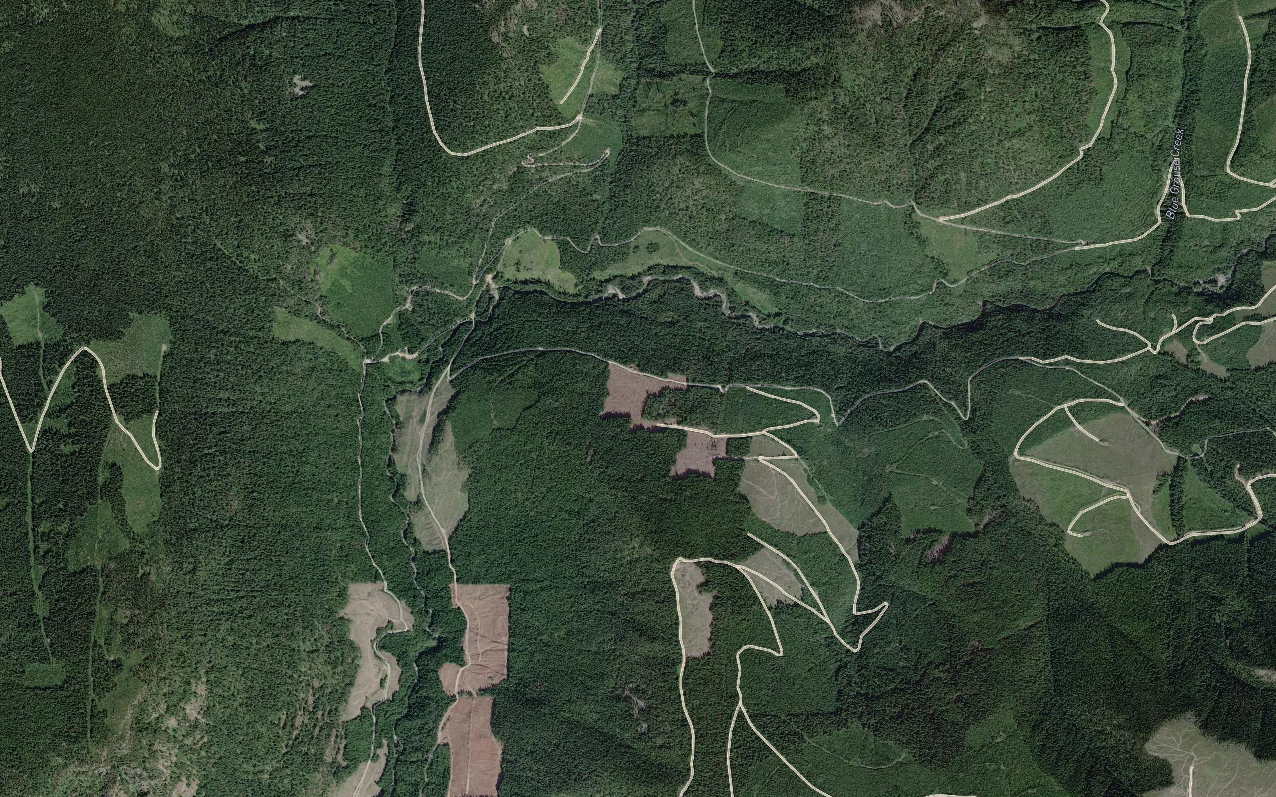 Mineral Creek