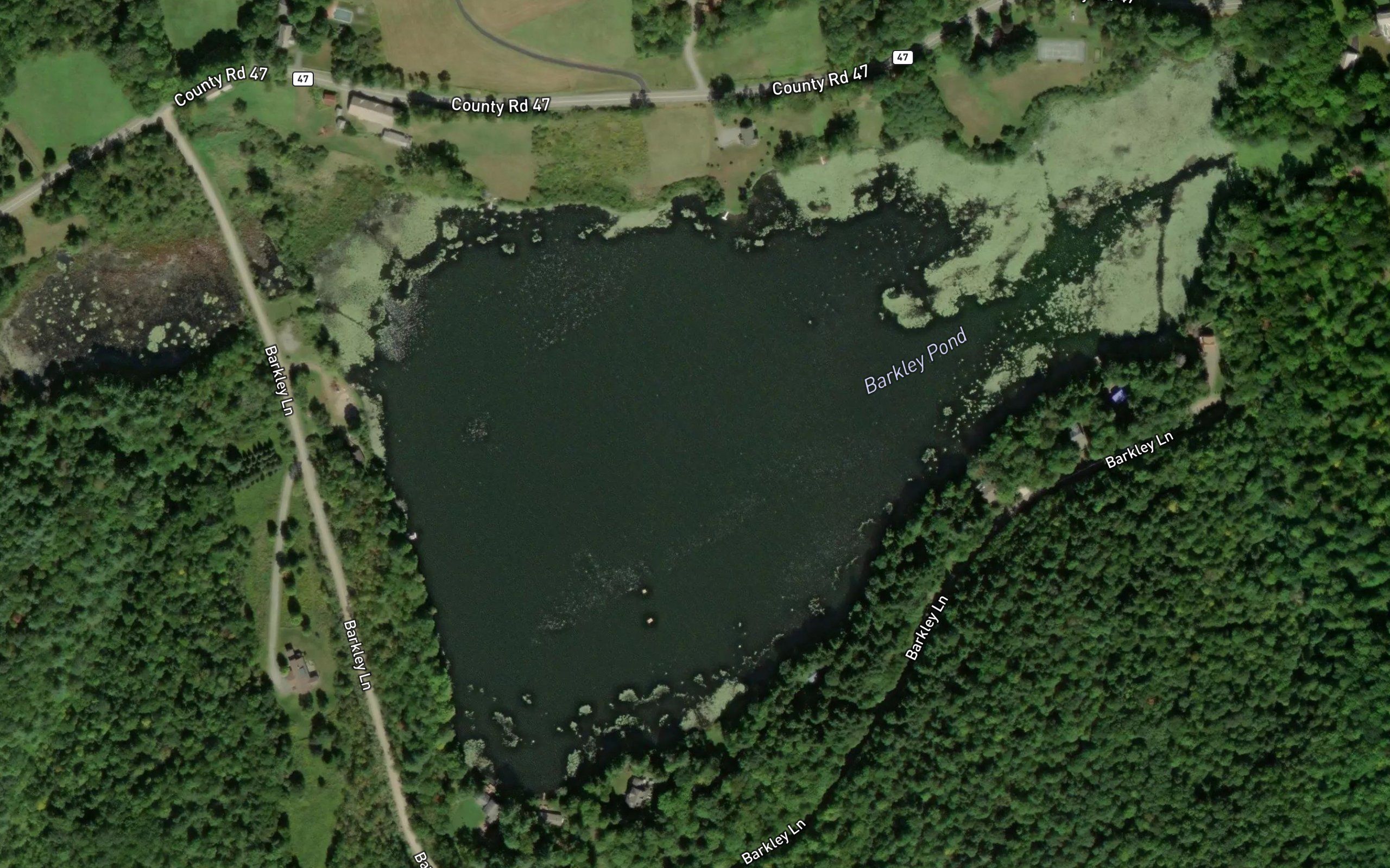 Barkley Pond