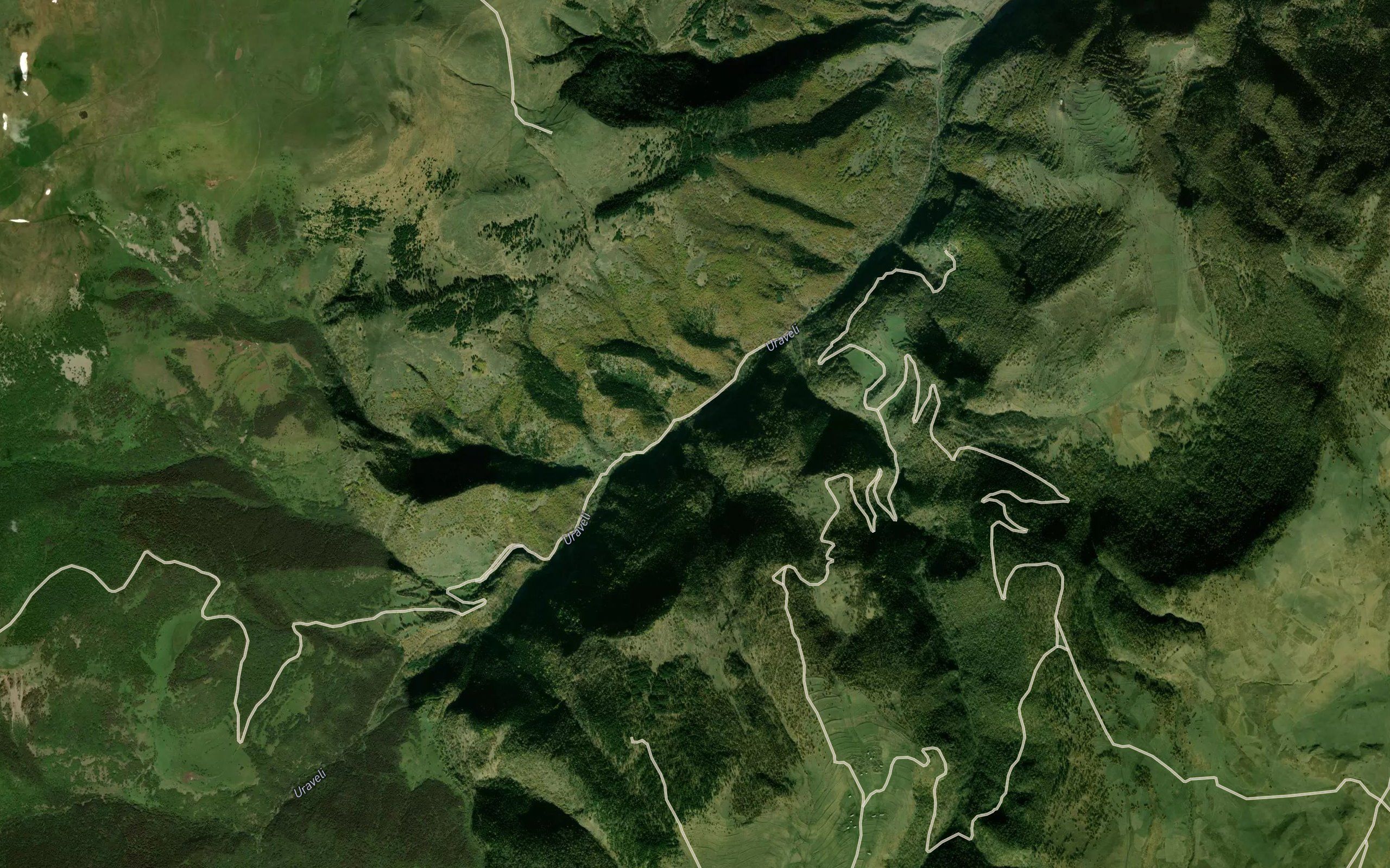 Saverzasu
