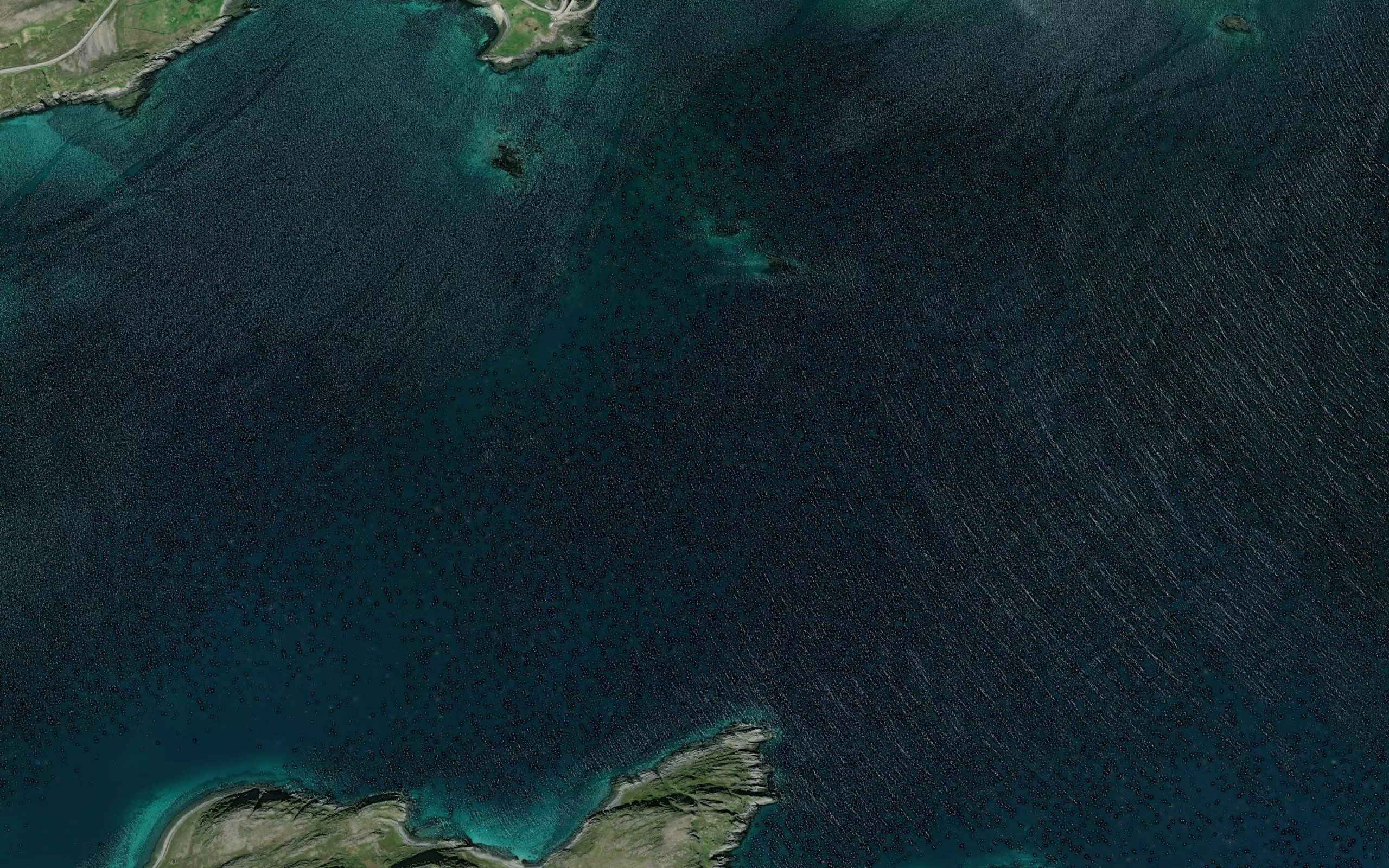 Langfjorden