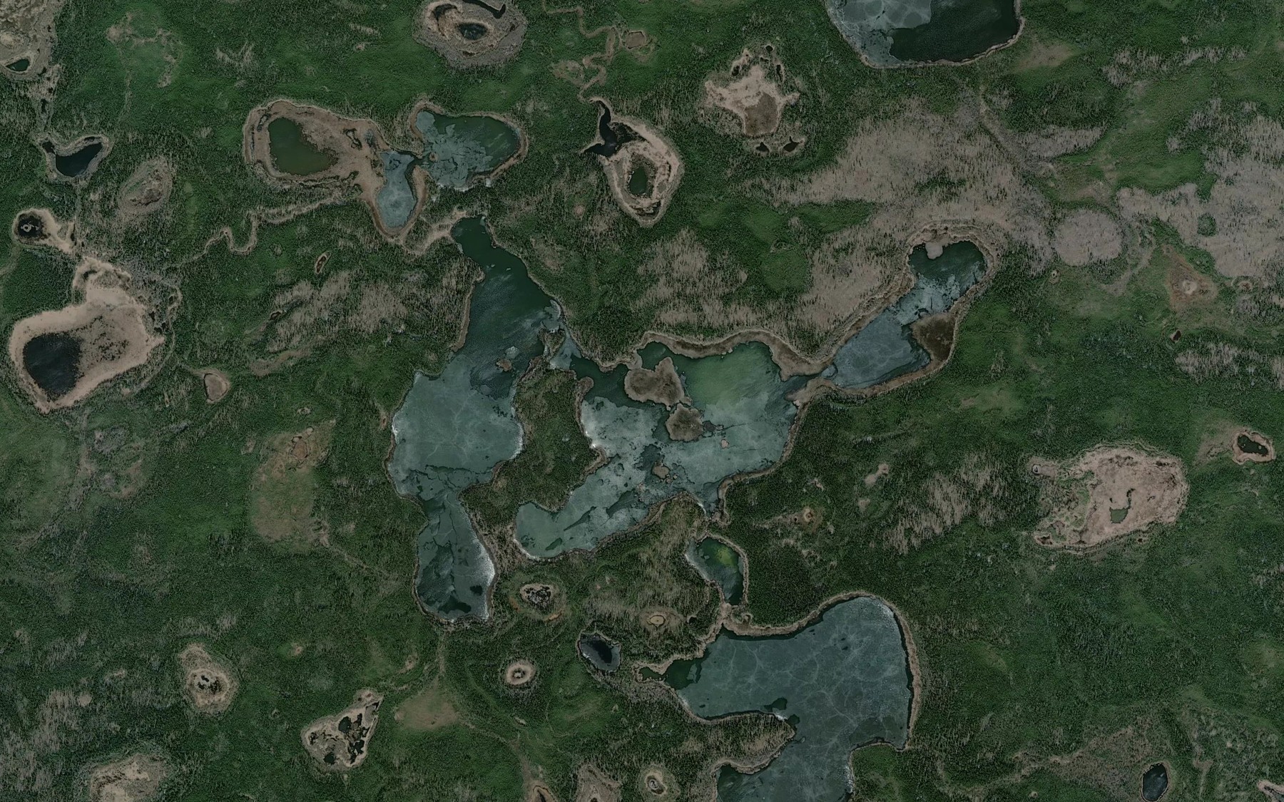 Satellite map of the Big Meadow