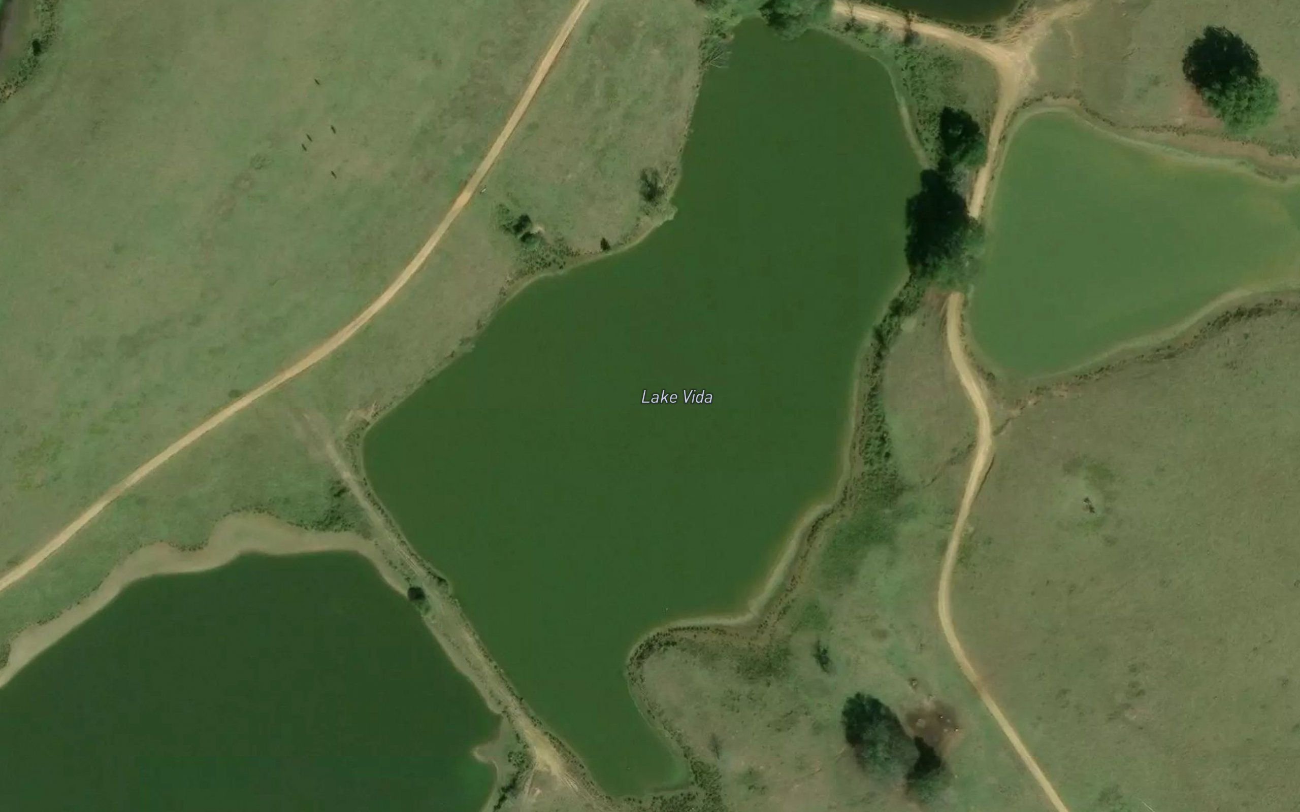Lake Vida