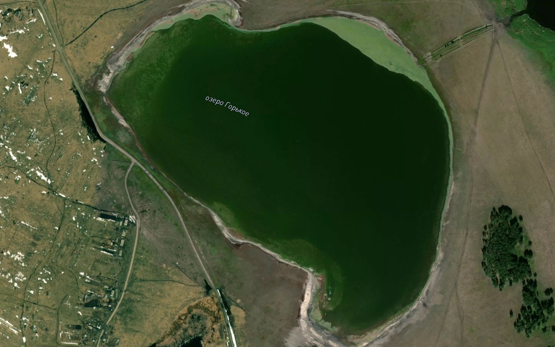 Satellite map of the Ozero Gor'koye