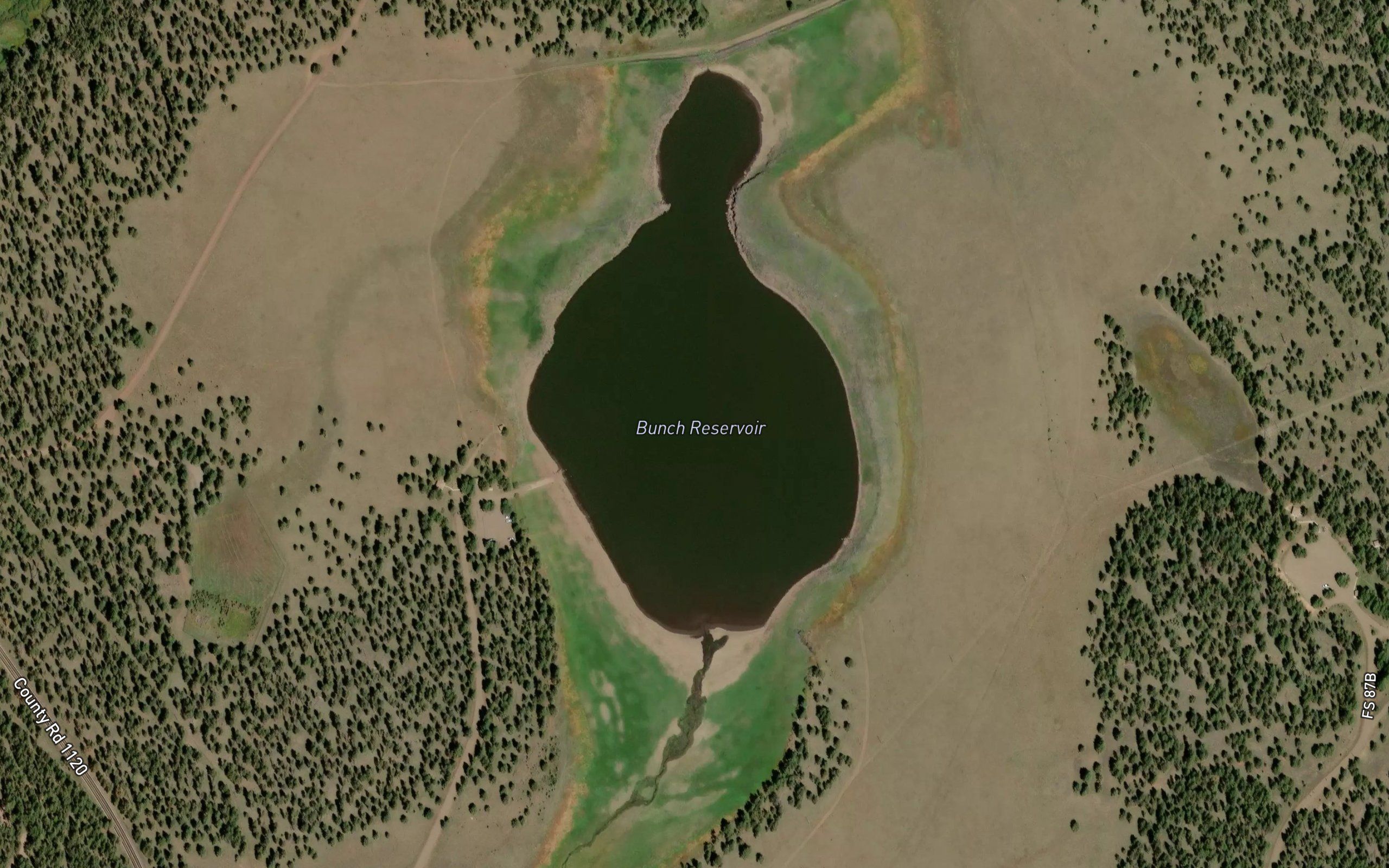 Bunch Reservoir