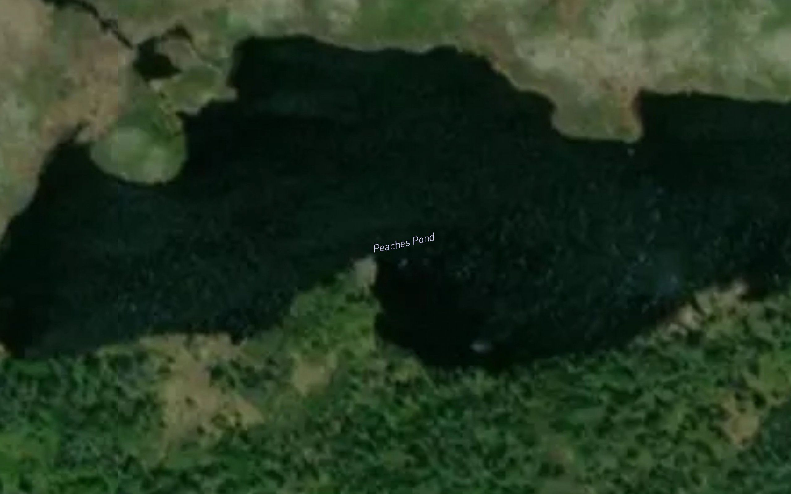 Peaches Pond