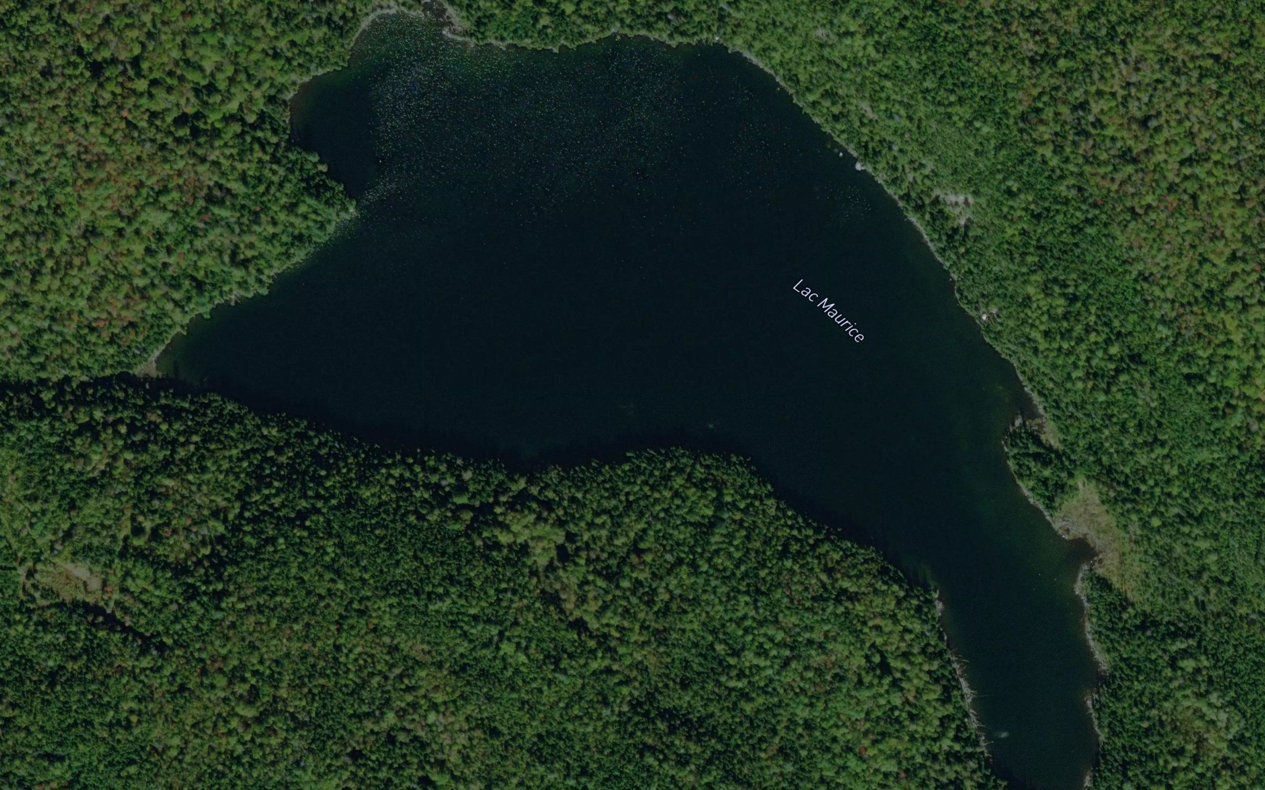Lac Maurice