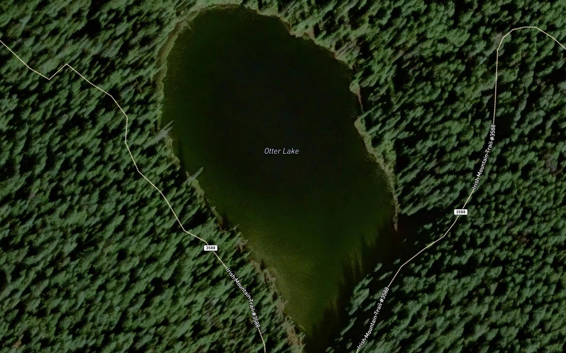 Satellite map of the Otter Lake