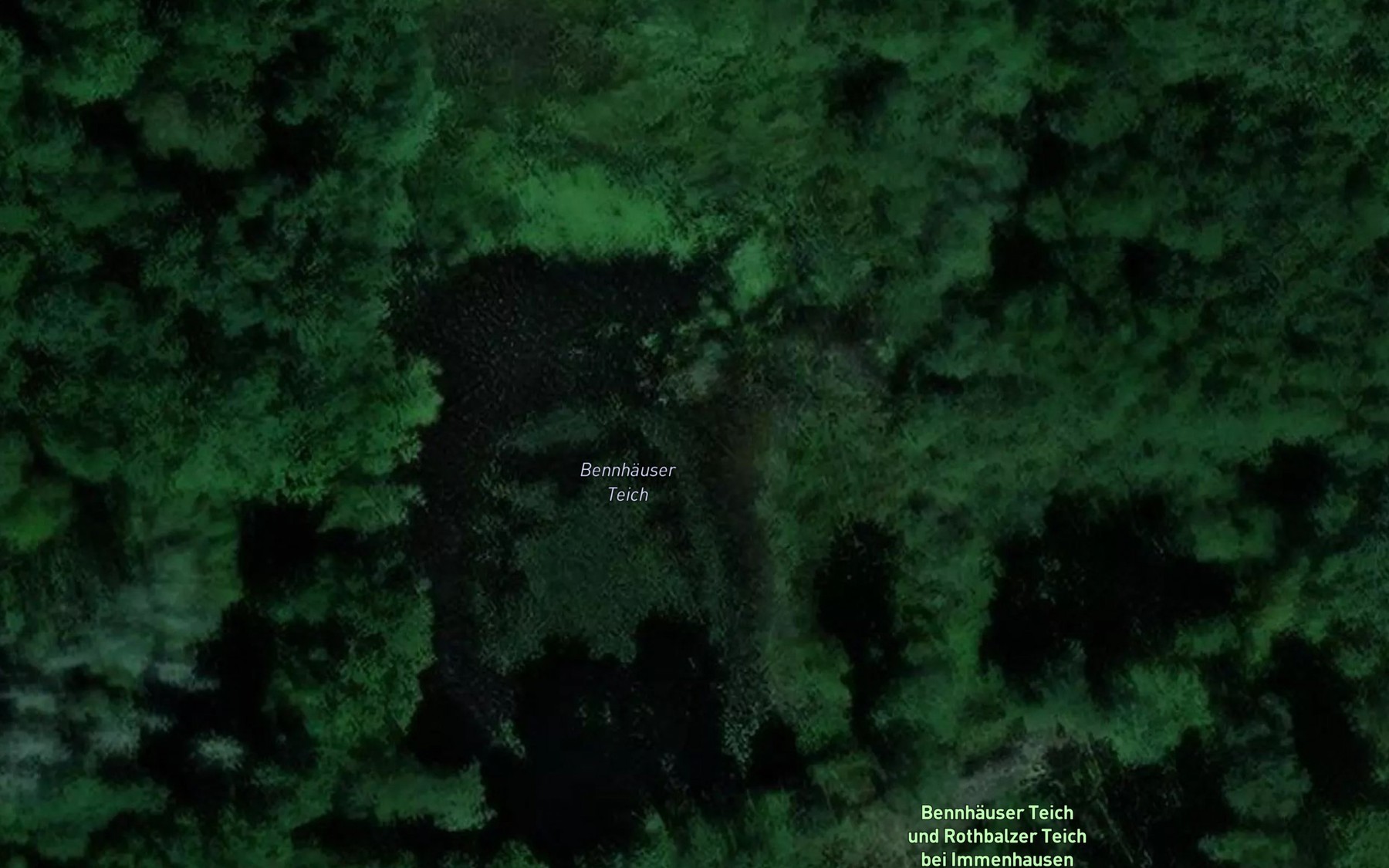 Satellite map of the Bennhauser Teich