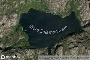 Store Salamonsvatn