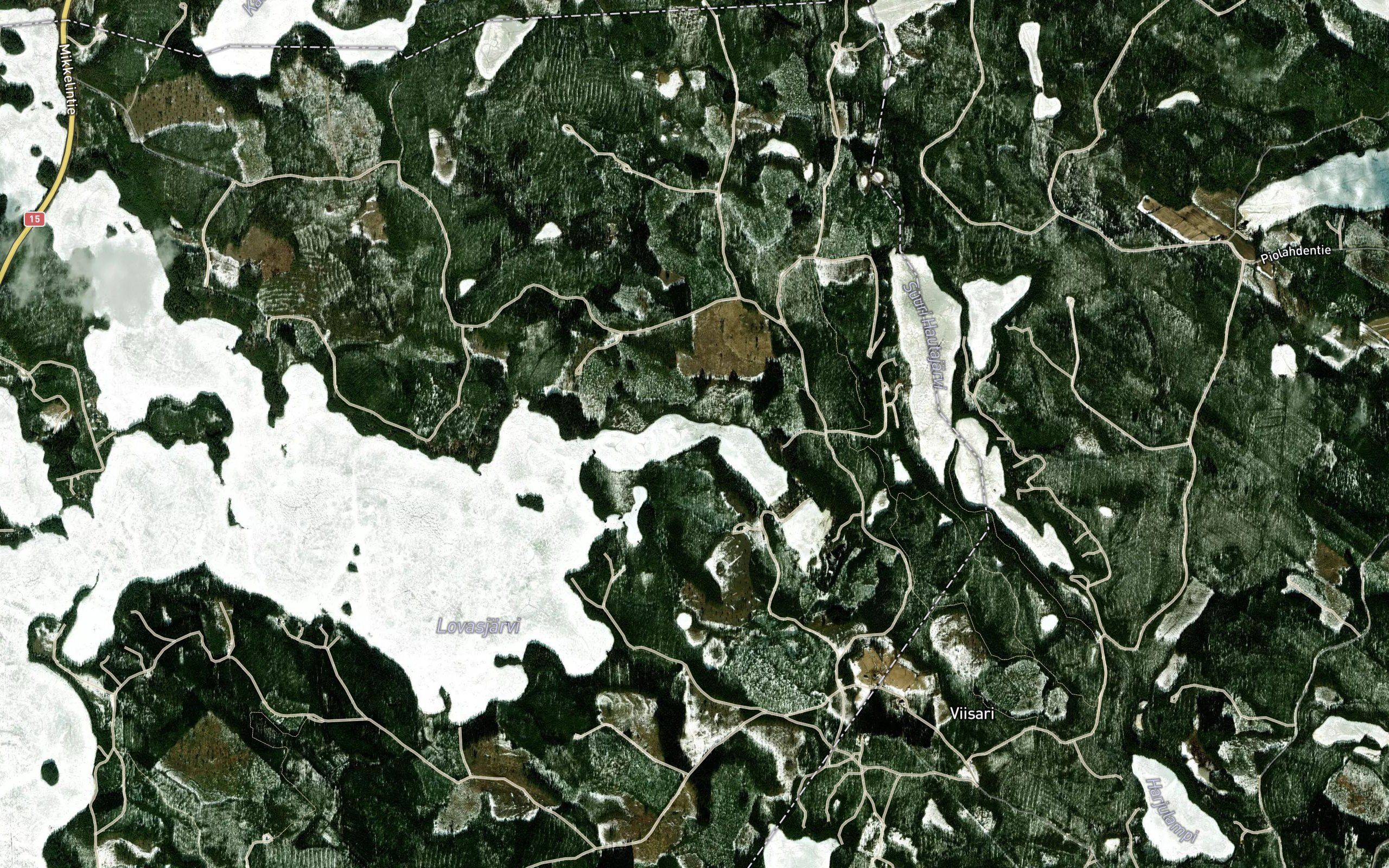 Patalahti